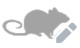 rodent profile
